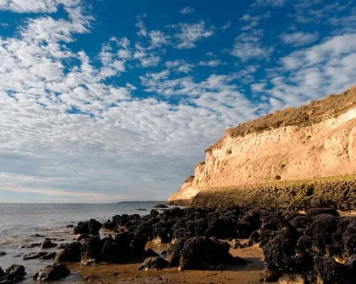 Costa della Penisola Valdés