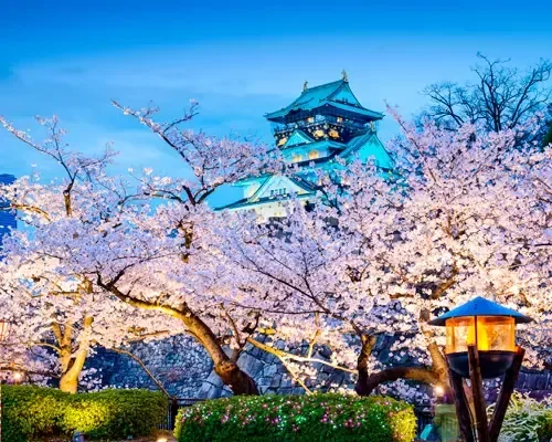 Castello di Osaka tra i ciliegi
