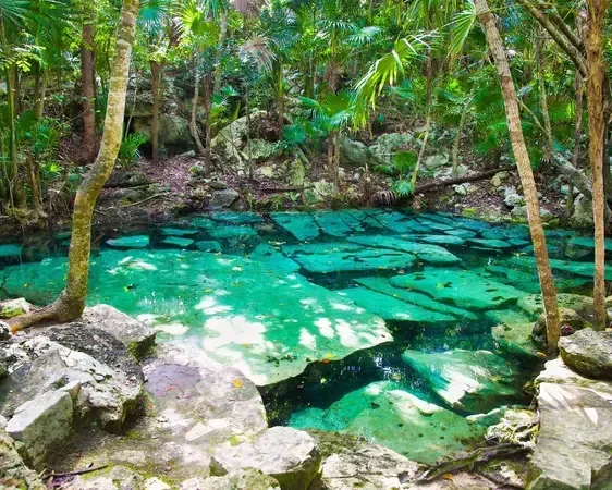 Acqua limpida di un cenote